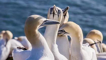 国电电力股东户数减少3.82万户,户均持股4.88万股,户均持股市值23.61万元