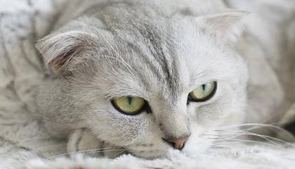 海得控制大宗交易折价成交269.42万股