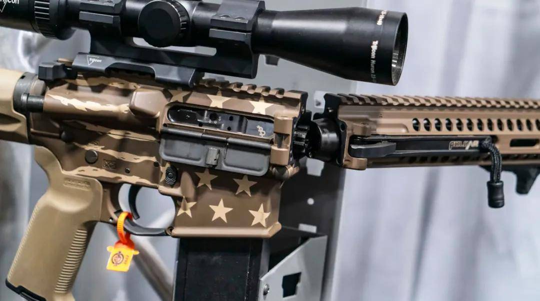 从未见过!4款国产神秘新步枪意外曝光,191枪族居然还有新型号?