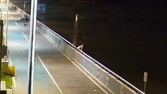 东莞一女子凌晨沉入漆黑水库,民警第二跳让人揪心……