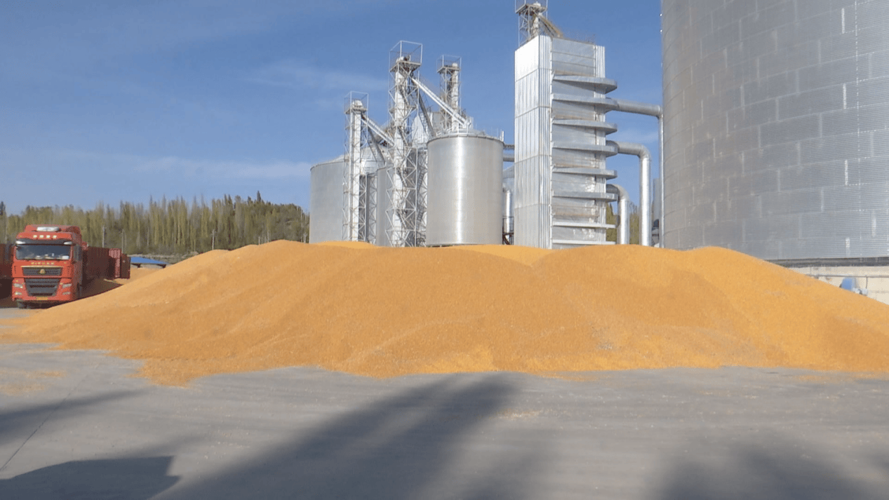 中石油援建玉米烘干厂 为乡村振兴注入“石油动能”