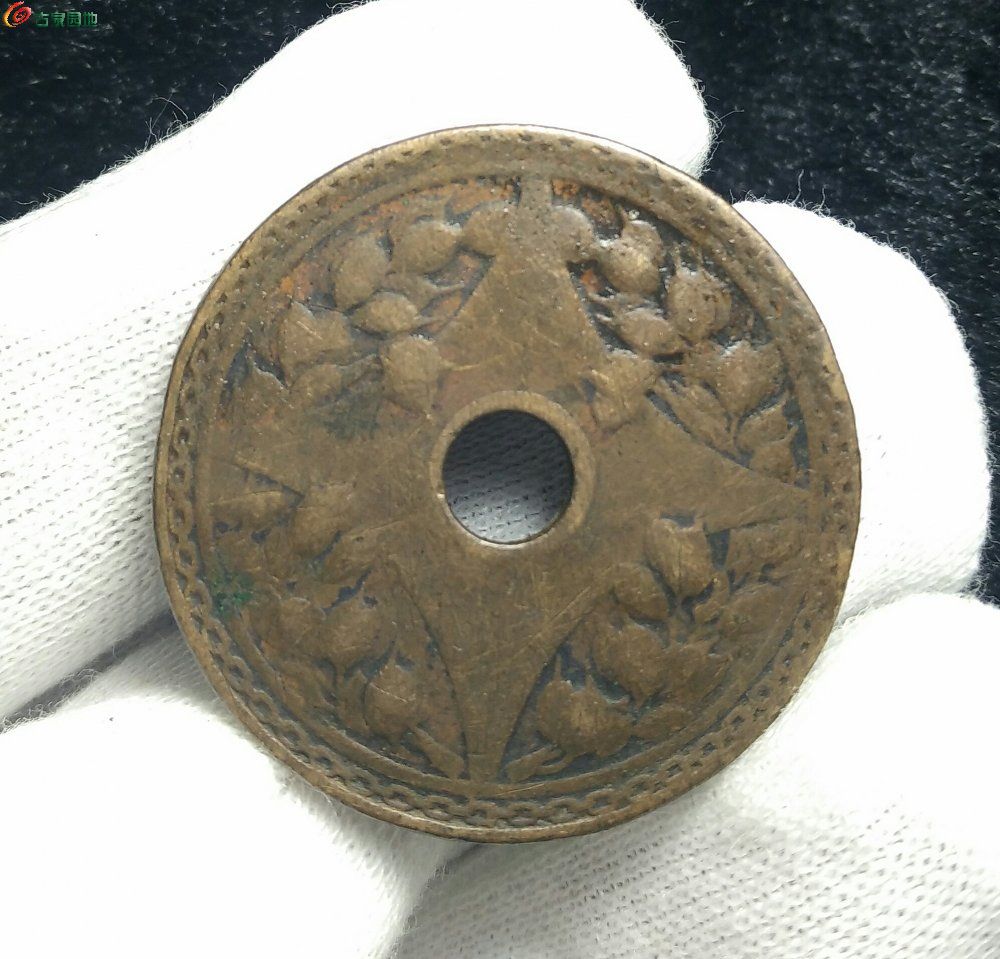 中币网(中币网官网入口怎么进入)