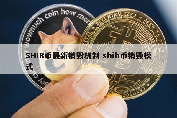中币销毁原因(中币销毁原因分析)