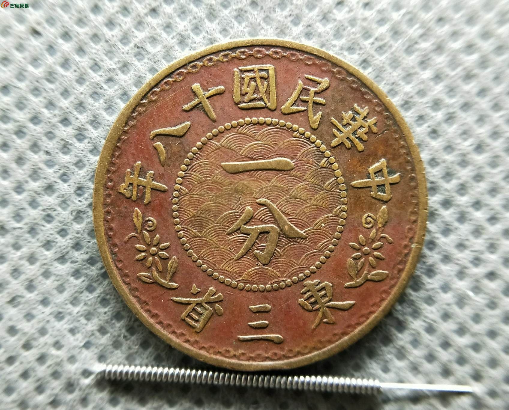 东中币(洞中避难所txt)