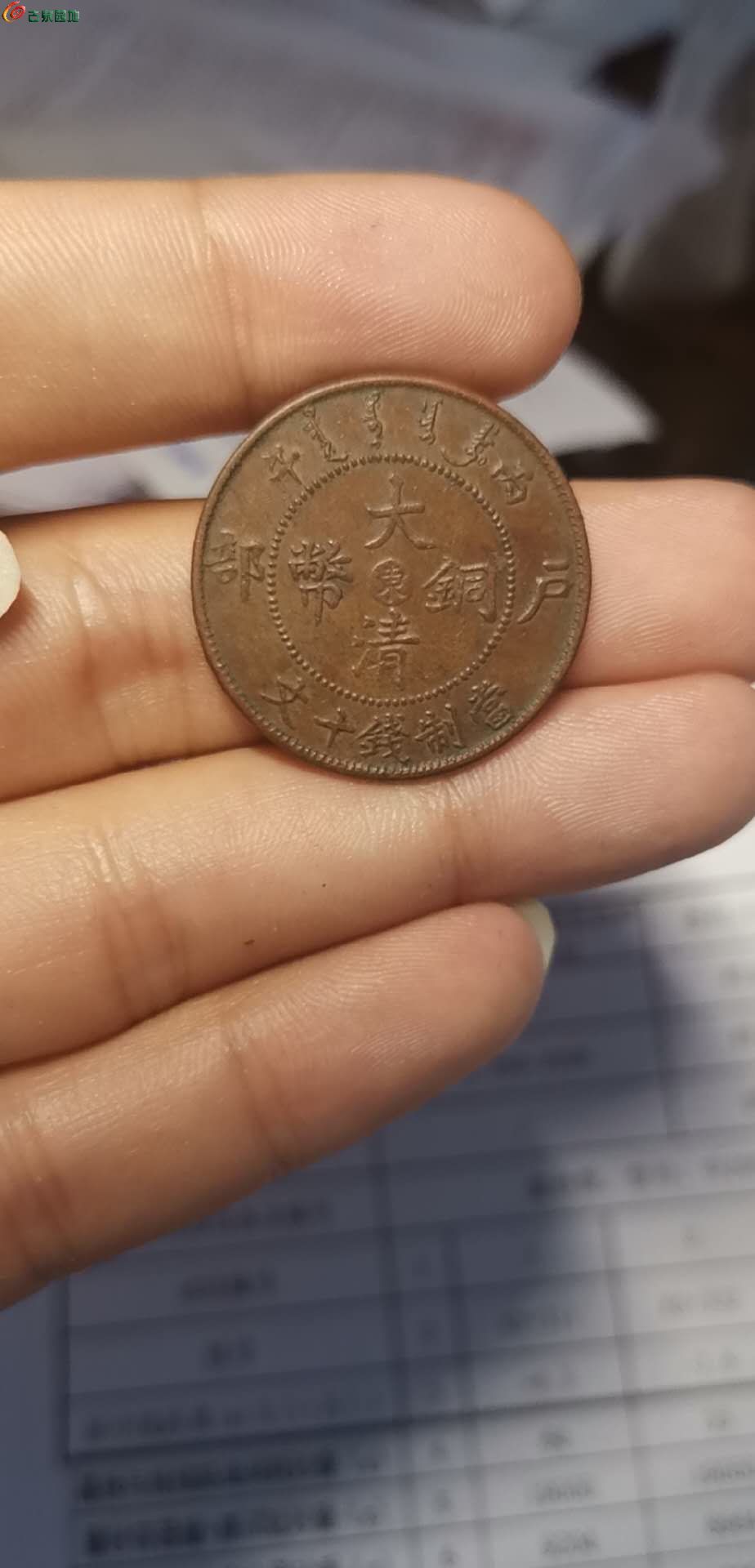 东中币(洞中避难所txt)