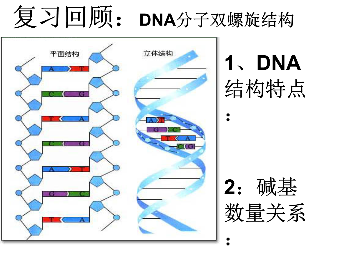 包含dna中币的词条