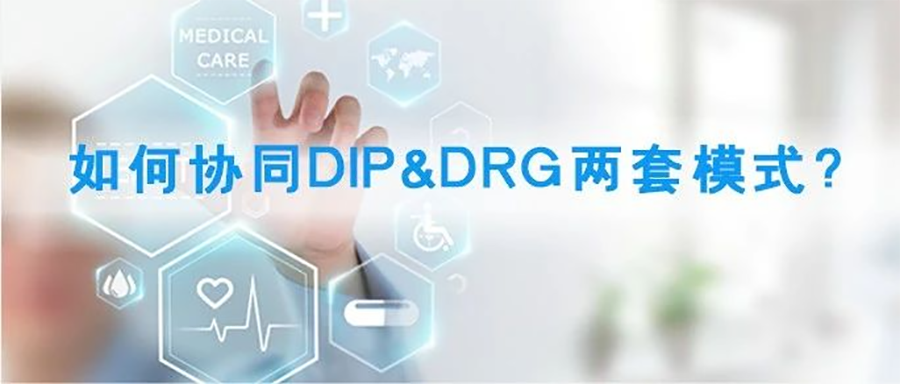 中币DIP(中币交易所最新消息)