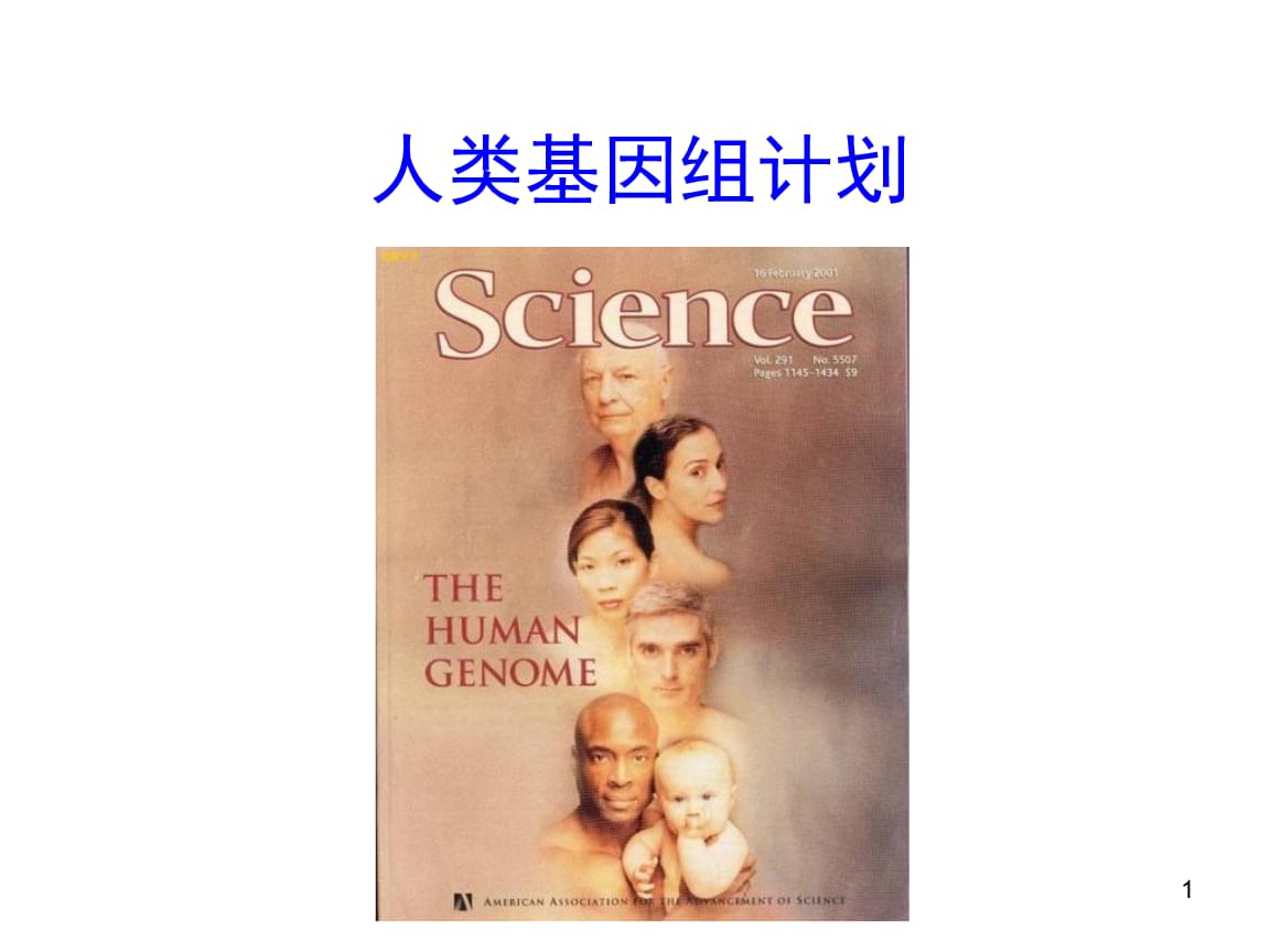 dna中币(dna中的磷酸二酯键)