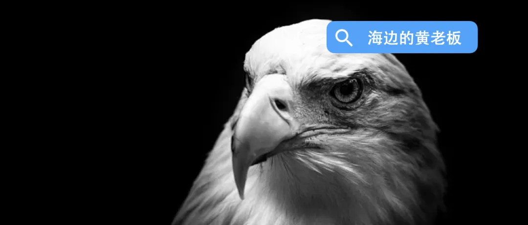 中币网鹰(鹰网币最新消息)