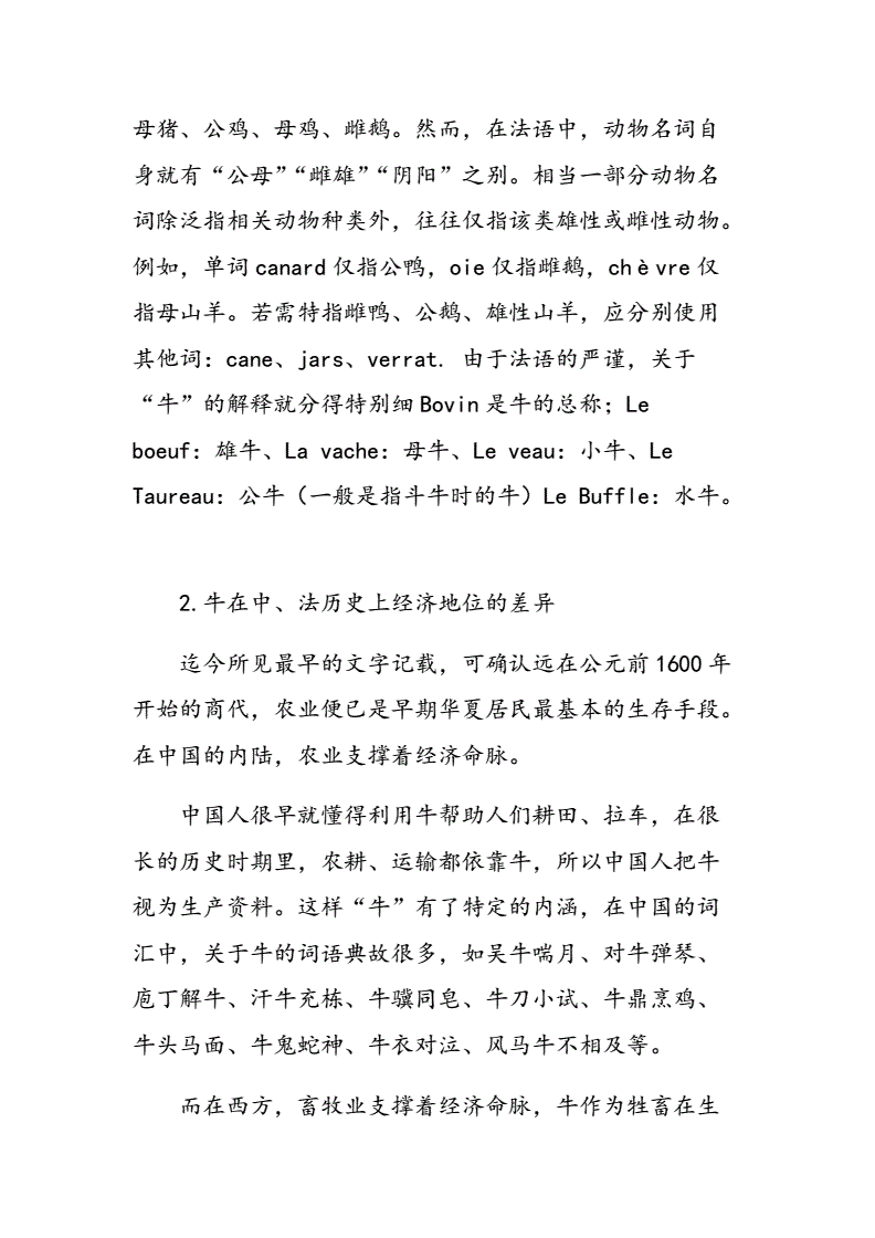 中币是词语(中的词语是什么?)
