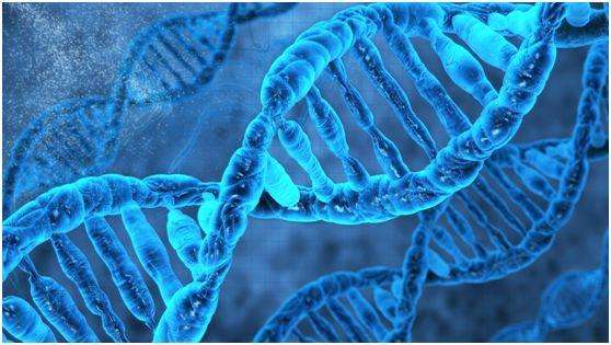 中币DNA(中币交易所app官网下载最新版本)