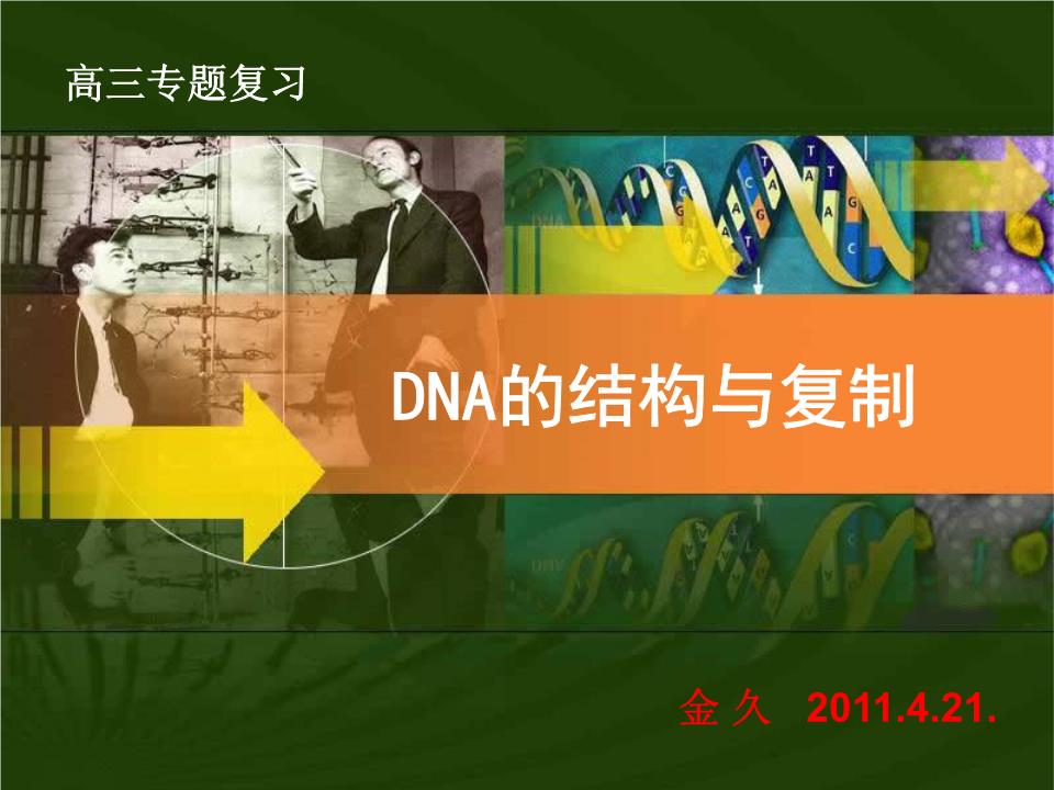 中币DNA(中币交易所最新消息)