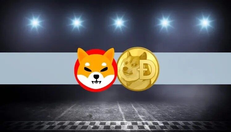 中币交易所最近官网(中币交易所最近官网在哪)