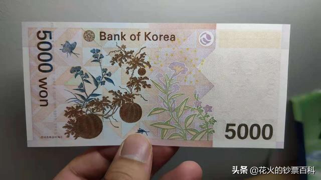 韩币和中币(韩币和中币的汇率)