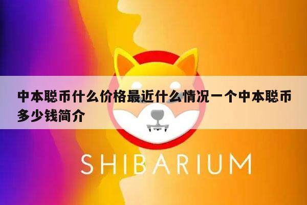 btcs中本聪币价格(btcs中本聪币预计多少钱一个)
