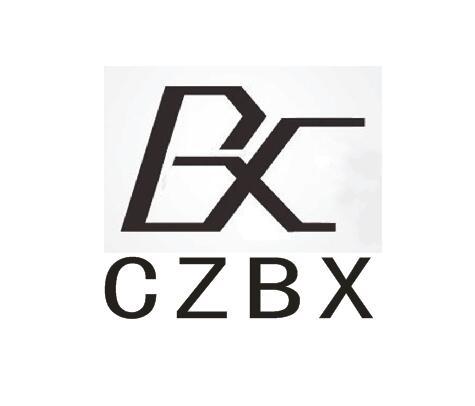 中币网ZBX(中币网zb创始人)