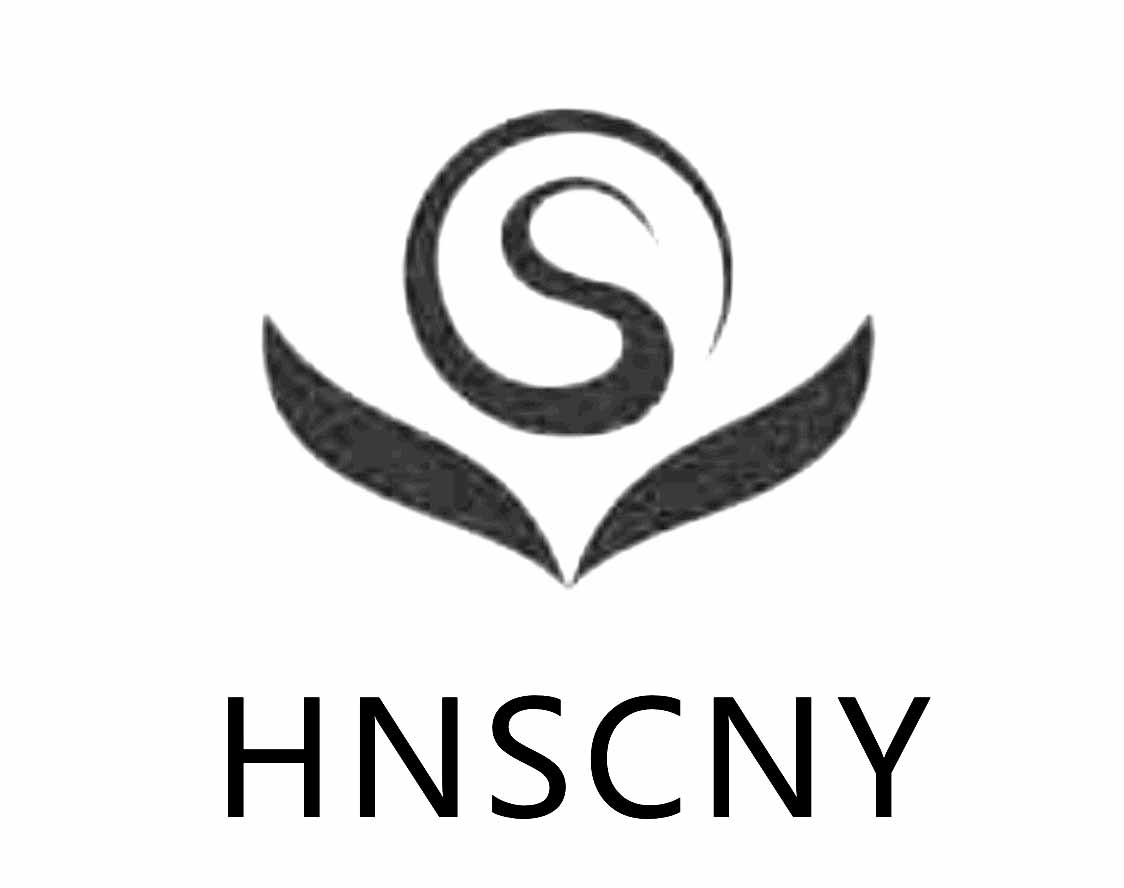 中币HNS(中币网app官网下载)